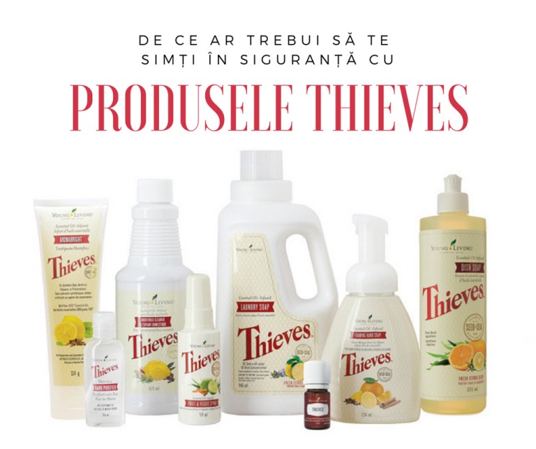 cover - Safety of Thieves products_resized