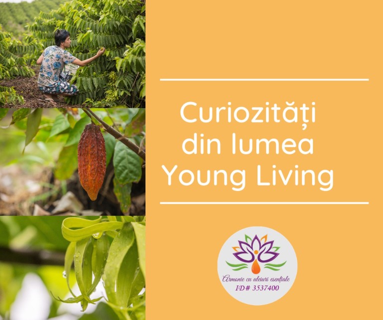 Curiozitati din lumea Young Living - title_resized